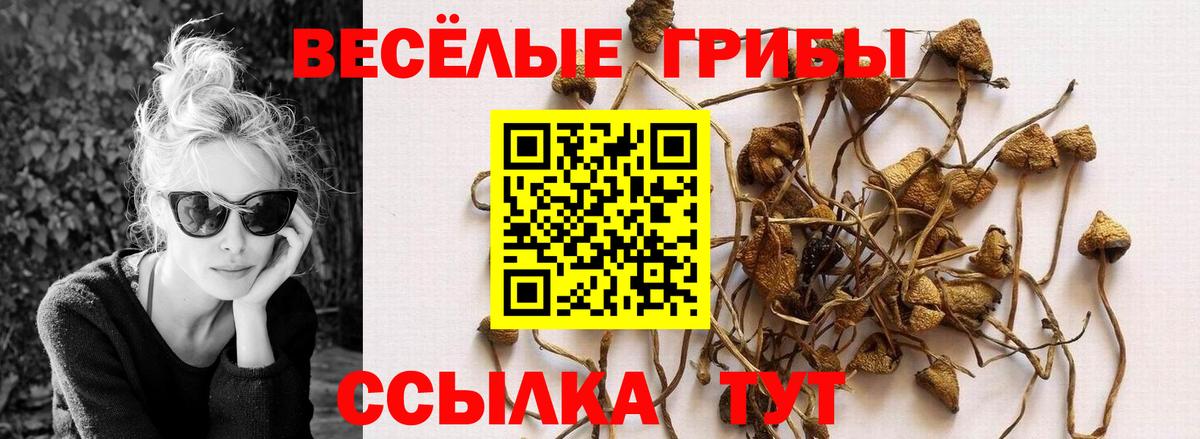 Галлюциногенные грибы прущие грибы  Вход с VPN  Саров  где купить наркоту  Псилоцибиновые грибы прущие грибы 